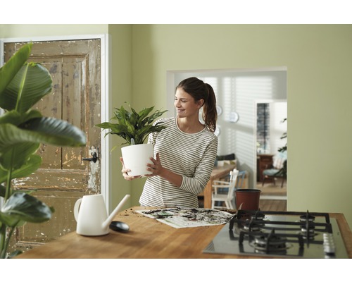 Vrouw met kamerplant in een pot in een kamer.