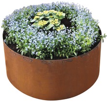 Bloembed met stalen rand en bloeiende planten