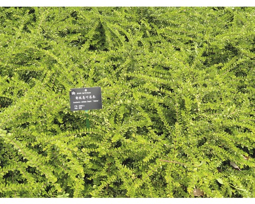 Op de foto staat een hek met een bord.