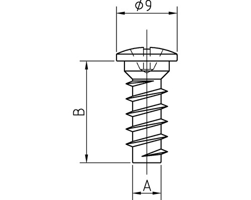 Technische tekening van een schroef met afmetingen