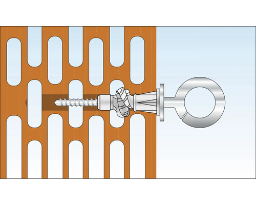 Afbeelding van een hollewandplug met ringschroef in een geperforeerde muur.