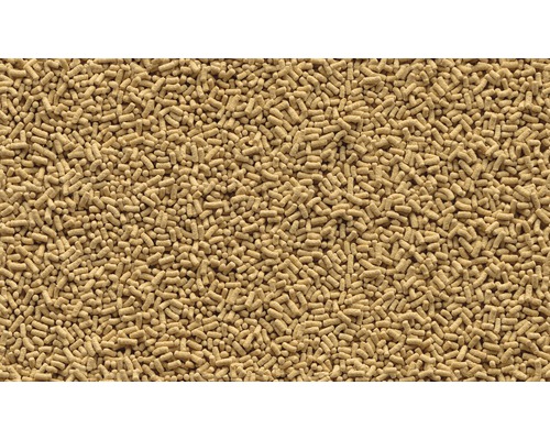 Close-up van gedroogde gist