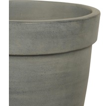 Detailopname van een plantenbak