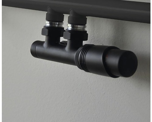 Radiatorknop met kraanblok voor radiator