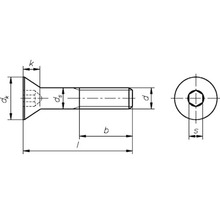 DRESSELHAUS Metaalschroef verzonken kop binnenzeskant 4x25 mm DIN 7991 RVS A2, 100 stuks