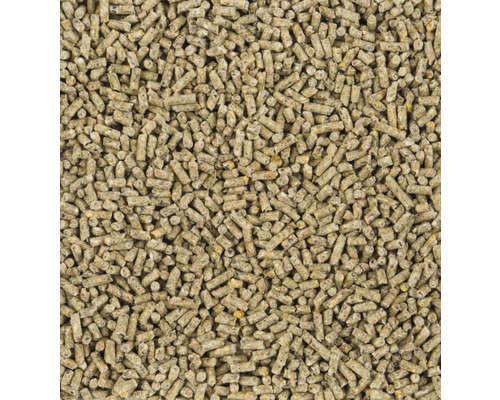 Close-up van diervoederkorrels