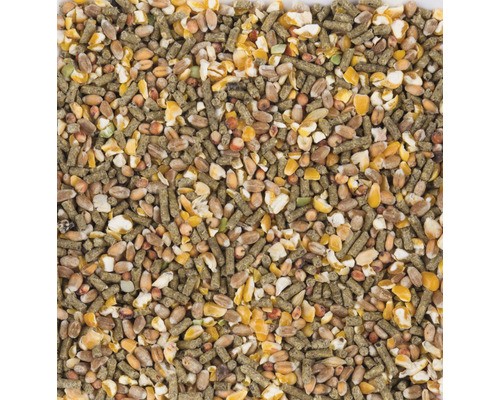 Close-up van diervoeder met verschillende granen en pellets