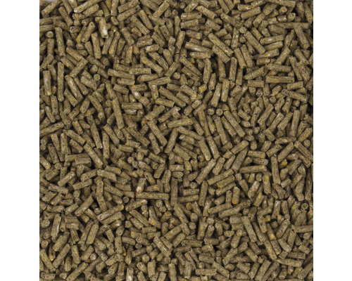 Close-up van diervoederkorrels