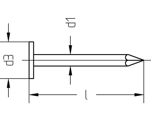Technische tekening van een pin met afmetingen