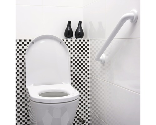 Badkamer met toilet en wandbeugel aan de muur