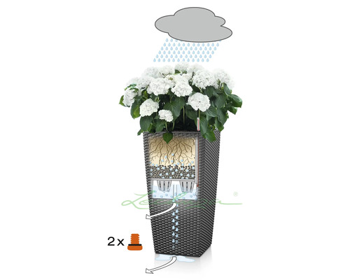 Illustratie van een plantenbak met irrigatiesysteem en witte hortensia''s.