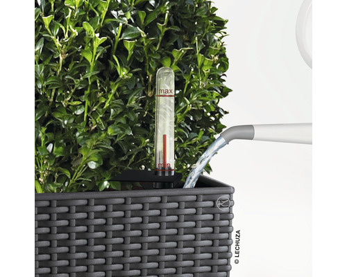Besproeien van een plantenbak met waterniveau-indicator