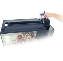 Aquarium met filter en vissen