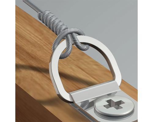 Detailopname van een fotolijstophangsysteem met D-ring, schroef en staalkabel