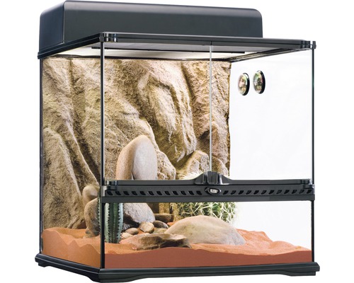 Terrarium met rotswand en woestijn decoratie