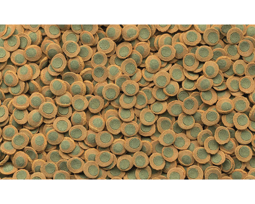 Close-up van visvoer tabletten