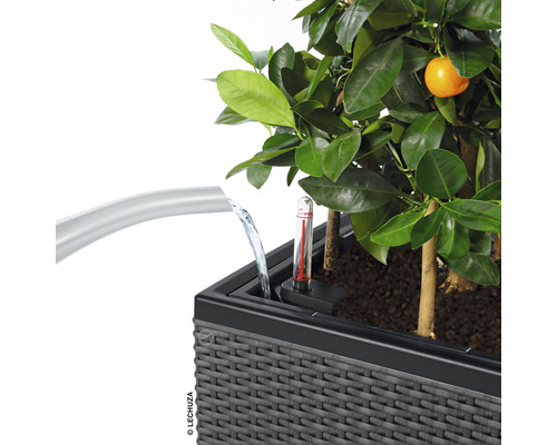 Watergeefsysteem voor plantenbakken met waterniveau-indicator en plant