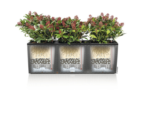 Balkonbak met planten en irrigatiesysteem