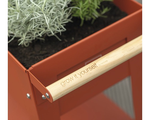 Detailweergave van een plantenwagen met houten handvat en planten