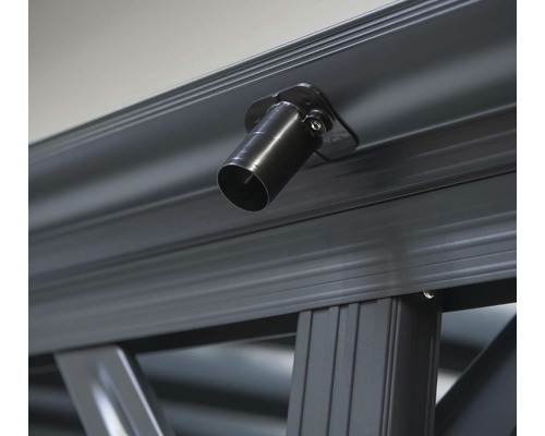 Detailopname van een zwarte spot op een overkapping