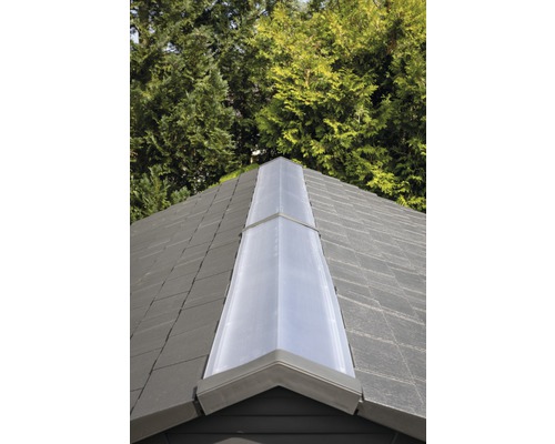 Detailopname van een tuinhuisdak met lichtstraat