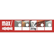 TOX Cellenbetonplug GB 10/55, 25 stuks