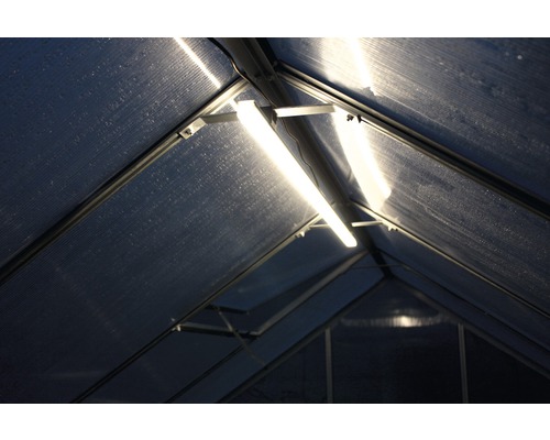 Binnenaanzicht van een kas met verlichting