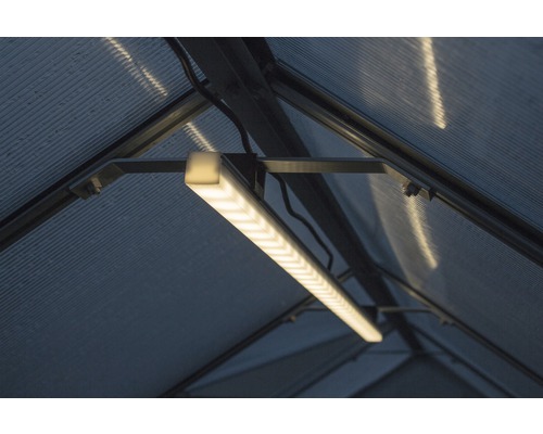 Interieur van een kas met geïnstalleerde plantenlamp