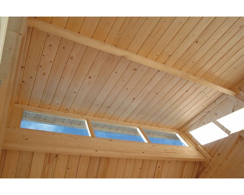 Interieur van een houten sauna met plafondbekleding en ramen