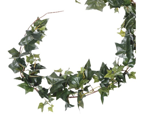 Slinger van klimop ter decoratie