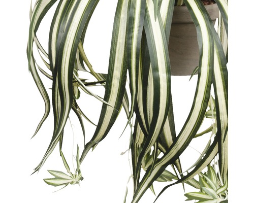 Close-up van een kunstmatige graslelie met gestreepte bladeren in een pot