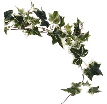 Klimop slinger met groene en lichte bladeren