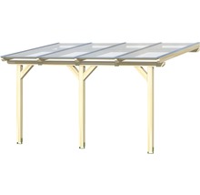 Houten carport met transparant dak