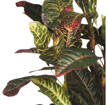 Kunstplant Croton in pot H 73 cm-thumb-1