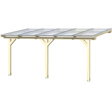 Houten carport met transparant dak
