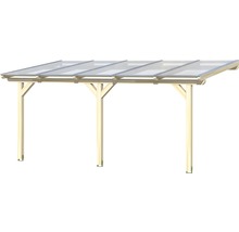 Houten carport met transparant dak