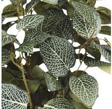 Kunstplant Fittonia 35x25 cm groen Ø11.5 cm-thumb-1
