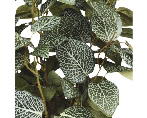 Detailopname van een kunstplant met gestreepte bladeren