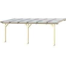 Houten carport met transparant dak