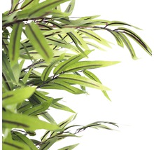 Groene bamboetakken met bladeren