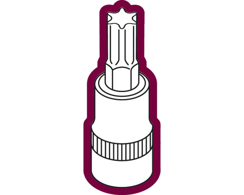 Torx dopsleutel