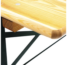 VEBA Biertafel hout groen-bruin 220x50 cm