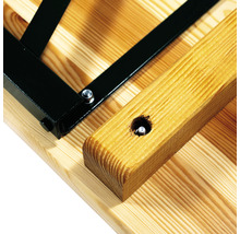 VEBA Biertafel hout groen-bruin 220x50 cm