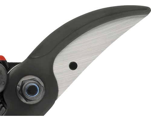 Close-up van een aambeeld-tuinschaar