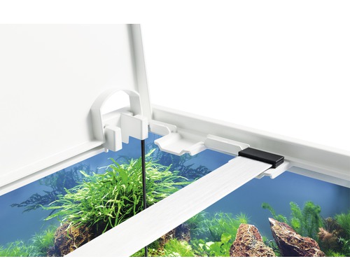 Detailopname van een aquarium met open deksel, planten en stenen
