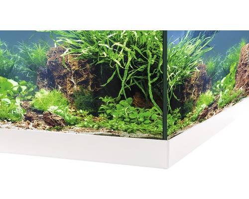 Detailaanzicht van een aquarium met stenen, planten en een witte onderkast