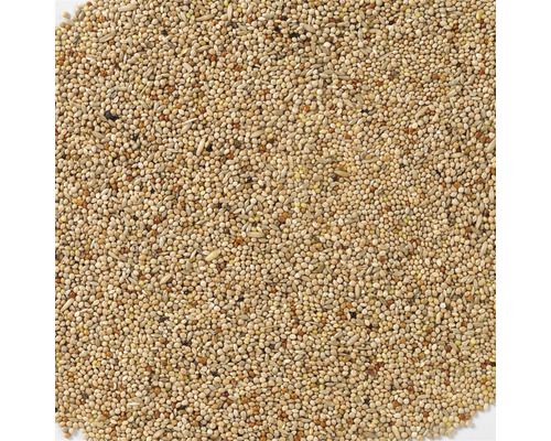 Vogelvoer van dichtbij genomen