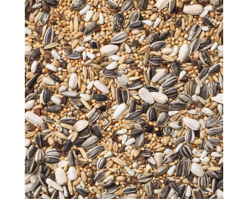 Diverse vogelvoederzaden