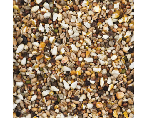 Close-up van vogelvoer met verschillende zaden en granen.