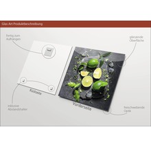 Glazen decoratie met afbeelding van limoenen, inclusief ophangsysteem en afstandhouders